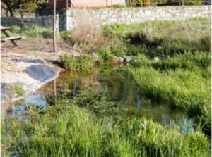 Láminas para estanques y embalses