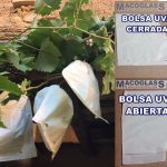 BOLSAS PARA UVAS