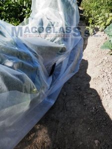Uso de clavo para manta térmica