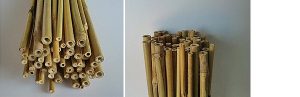 Tutor bambú 120 cm.