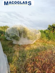 Mallas antigranizo