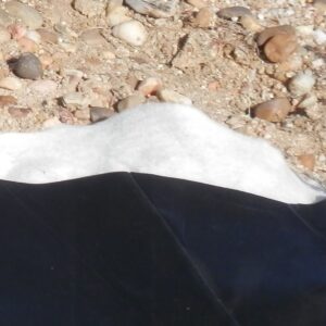 GEOTEXTIL