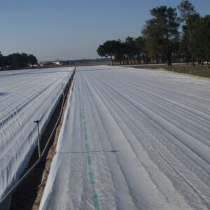 Manta térmica agrícola