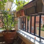 CERCADO AVES008